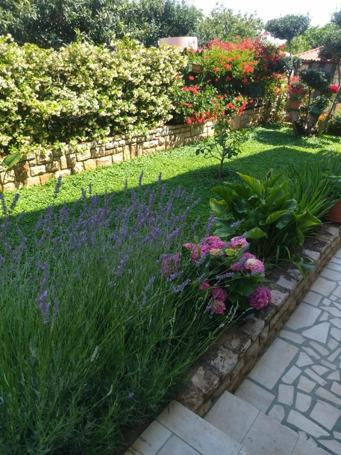 Zelena Oaza Apartment Novigrad Istria Extérieur photo