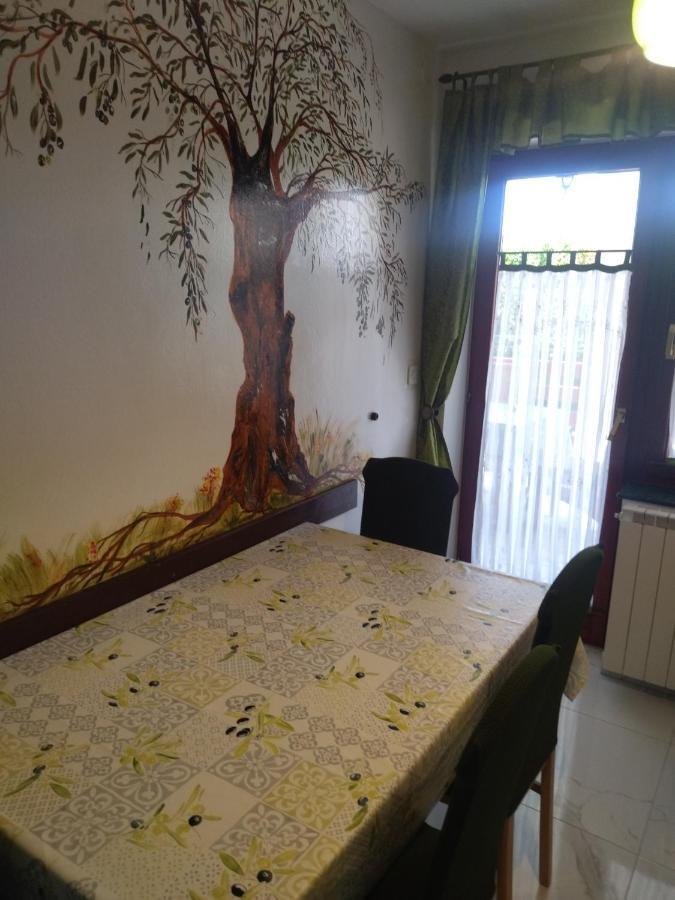 Zelena Oaza Apartment Novigrad Istria Extérieur photo