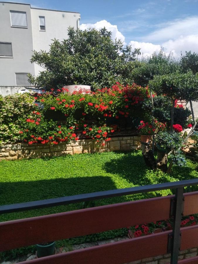 Zelena Oaza Apartment Novigrad Istria Extérieur photo