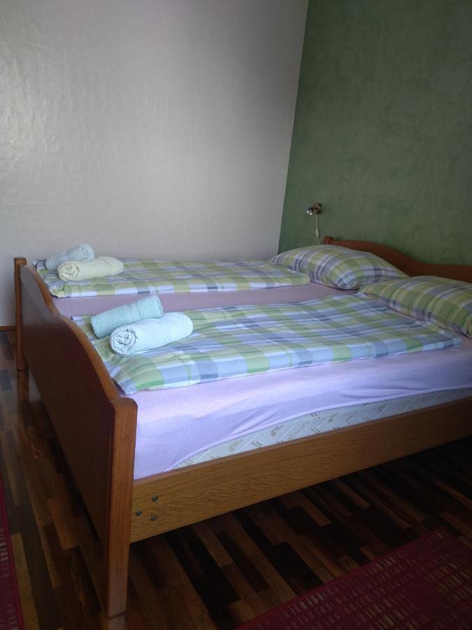 Zelena Oaza Apartment Novigrad Istria Extérieur photo