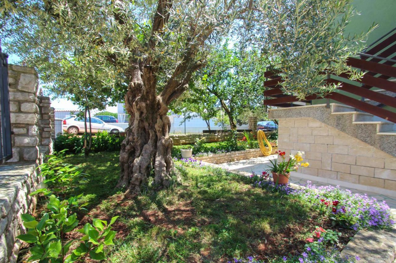 Zelena Oaza Apartment Novigrad Istria Extérieur photo